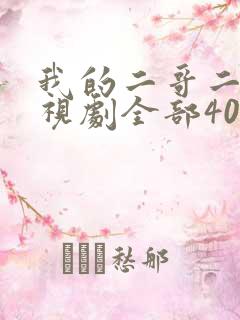 我的二哥二嫂电视剧全部40集