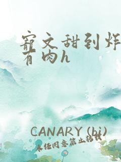 宠文甜到炸无虐有肉h