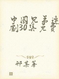 中国兄弟连电视剧30集免费观看完整版全集