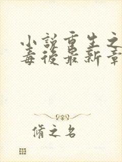 小说重生之将门毒后最新章节列表列表