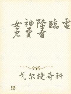 女神降临电视剧免费看