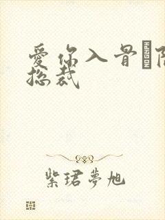 爱你入骨·隐婚总裁