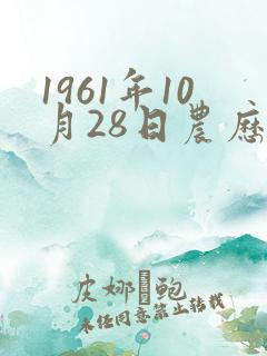 1961年10月28日农历生辰八字