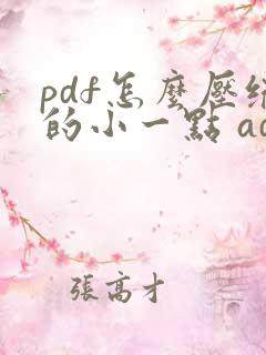 pdf怎么压缩的小一点 adobe