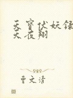 天宝伏妖录 非天夜翔