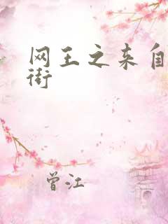 网王之来自流星街
