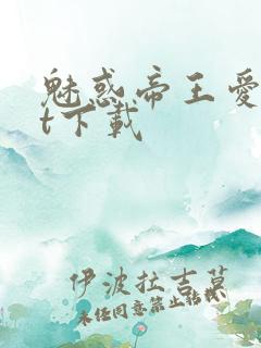 魅惑帝王爱txt下载