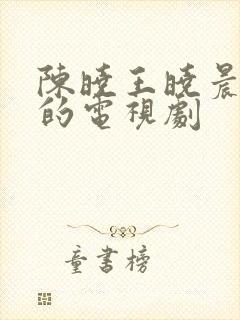 陈晓王晓晨主演的电视剧