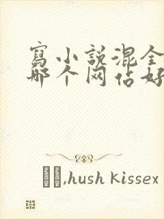 写小说混全勤去哪个网站好