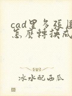 cad里多张图怎么转换成pdf格式