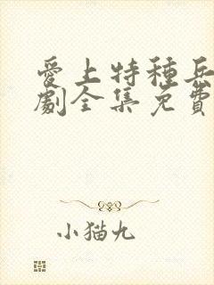 爱上特种兵电视剧全集免费完整版