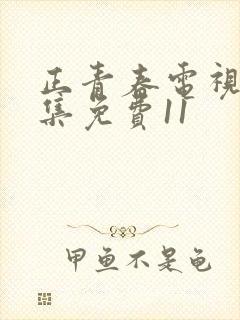 正青春电视剧全集免费11