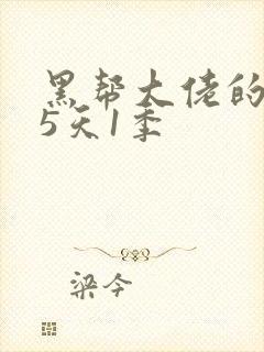 黑帮大佬的365天1季