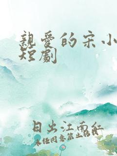 亲爱的宋小姐 短剧