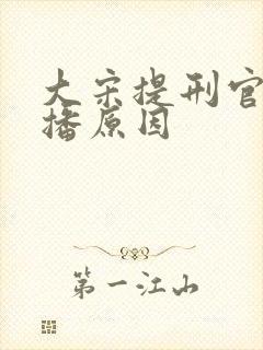大宋提刑官被禁播原因