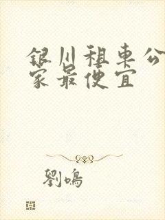 银川租车公司哪家最便宜