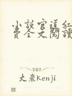 小说官道红颜免费全文阅读一