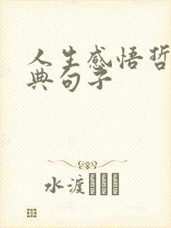 人生感悟哲理经典句子