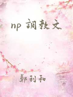 np 调教文
