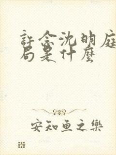 许念沈明庭大结局是什么