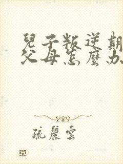 儿子叛逆期不理父母怎么办