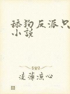 舔狗反派只想苟小说