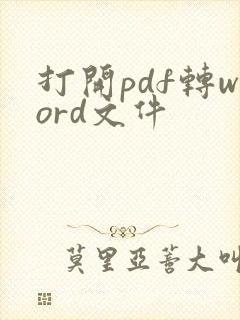 打开pdf转word文件