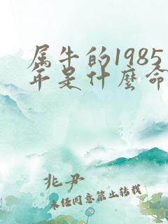 属牛的1985年是什么命