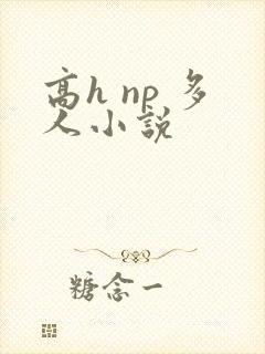 高h np 多人小说