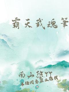 霸天武魂笔趣阁