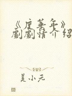 《度华年》电视剧剧情介绍