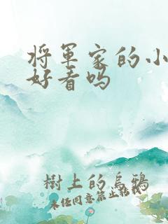 将军家的小娘子好看吗