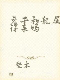 兔子和龙属相合得来吗