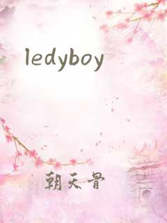 ledyboy