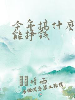 今年搞什么项目能挣钱