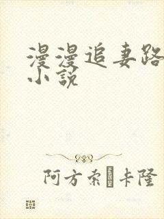 漫漫追妻路在线小说