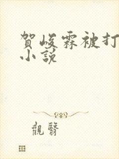 贺峻霖被打屁股小说
