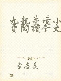 九龙梦境小说免费阅读全文无弹窗