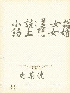 小说:美女总裁的上门女婿