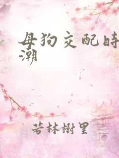 母狗交配时的高潮