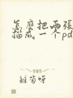 怎么把两张纸扫描成一个pdf文件