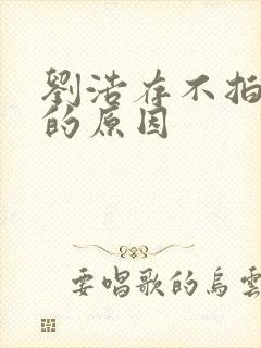 刘浩存不拍吻戏的原因