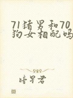 71猪男和70狗女相配吗婚姻
