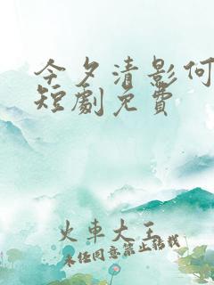 今夕清影何处寻短剧免费