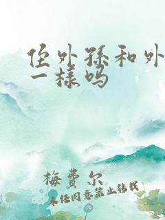 侄外孙和外侄孙一样吗