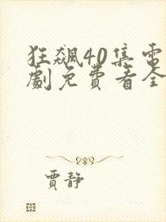 狂飙40集电视剧免费看全集