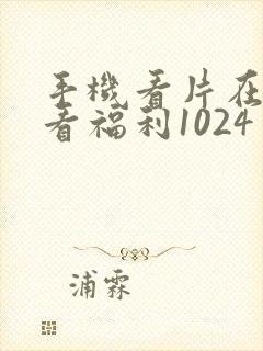 手机看片在线观看福利1024