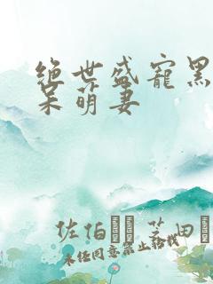 绝世盛宠黑帝的呆萌妻