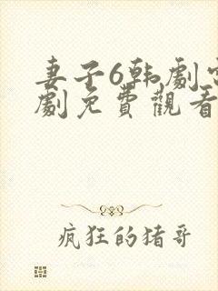 妻子6韩剧电视剧免费观看全集