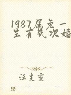1987属兔一生有几次婚姻
